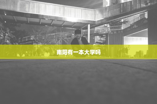 南阳有一本大学吗