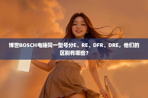 博世BOSCH电锤同一型号分E、RE、DFR、DRE，他们的区别有哪些？