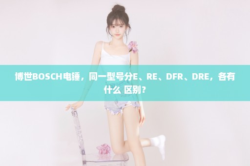 博世BOSCH电锤，同一型号分E、RE、DFR、DRE，各有什么 区别？