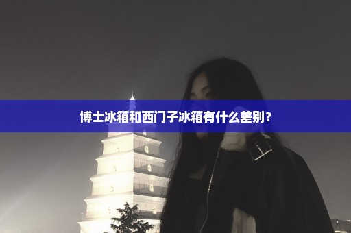 博士冰箱和西门子冰箱有什么差别？