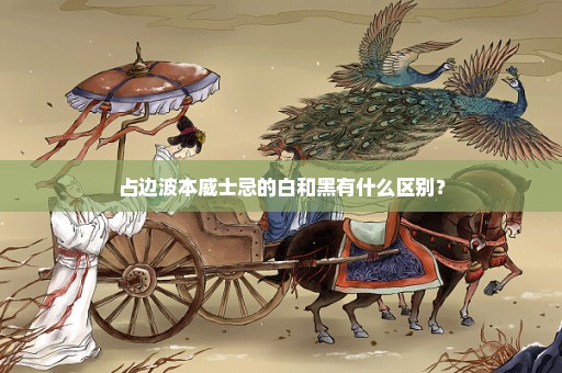 占边波本威士忌的白和黑有什么区别？