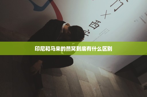 印尼和马来的燕窝到底有什么区别