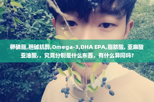 卵磷脂,胆碱肌醇,Omega-3,DHA EPA,脂肪酸, 亚麻酸亚油酸,，究竟分别是什么东西，有什么异同吗？