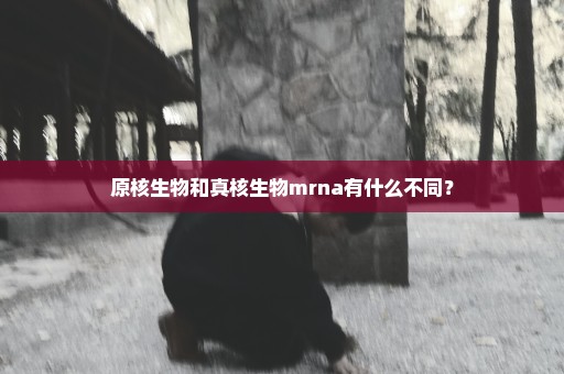 原核生物和真核生物mrna有什么不同？