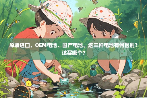 原装进口、OEM电池、国产电池。这三种电池有何区别？该买哪个？