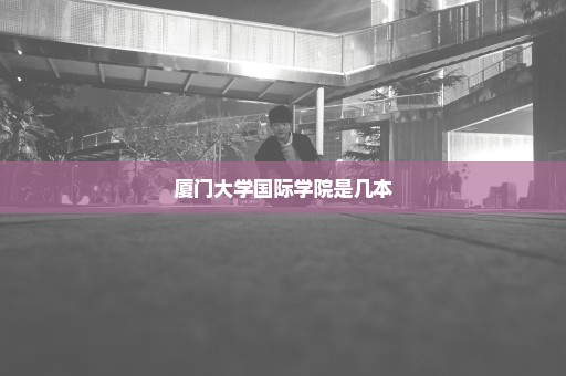 厦门大学国际学院是几本