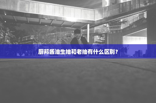 厨邦酱油生抽和老抽有什么区别？