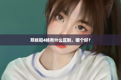 双核和4核有什么区别，哪个好？