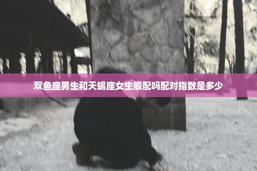 双鱼座男生和天蝎座女生般配吗配对指数是多少