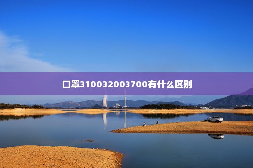 口罩310032003700有什么区别