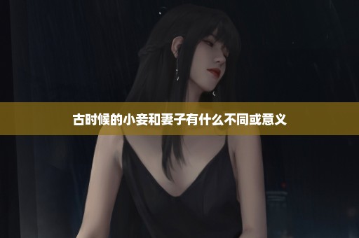 古时候的小妾和妻子有什么不同或意义