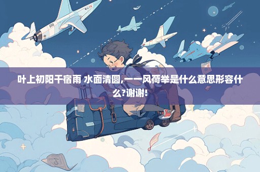 叶上初阳干宿雨 水面清圆,一一风荷举是什么意思形容什么?谢谢!