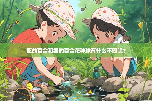 吃的百合和卖的百合花种球有什么不同呢？