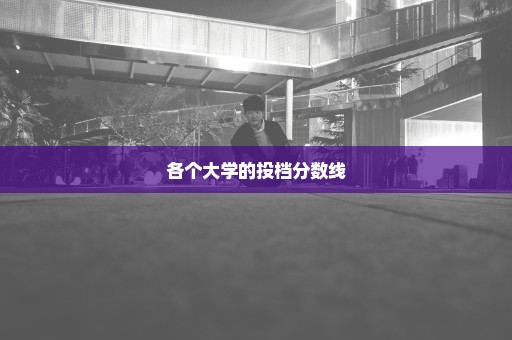 各个大学的投档分数线