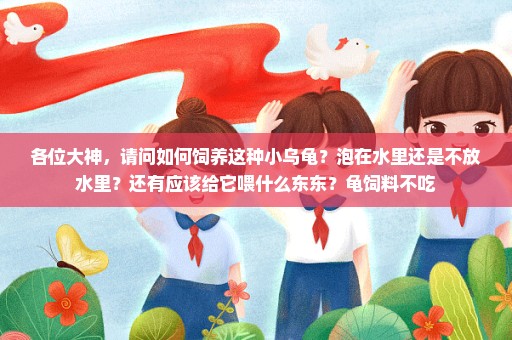 各位大神，请问如何饲养这种小乌龟？泡在水里还是不放水里？还有应该给它喂什么东东？龟饲料不吃