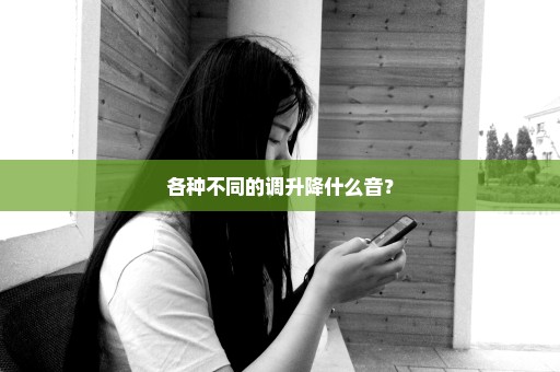 各种不同的调升降什么音？