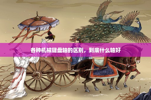 各种机械键盘轴的区别，到底什么轴好