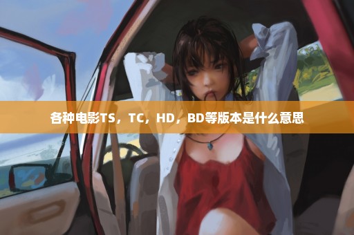 各种电影TS，TC，HD，BD等版本是什么意思