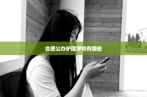 合肥公办护理学校有哪些