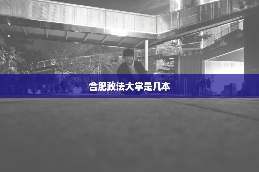 合肥政法大学是几本