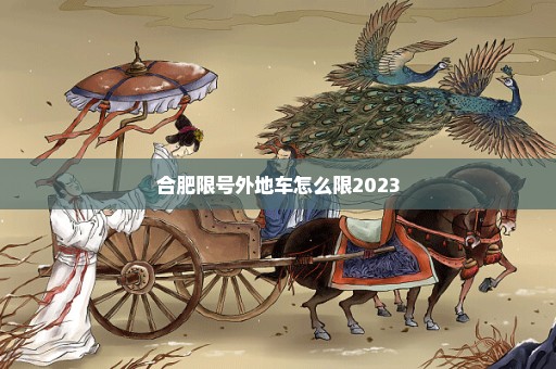 合肥限号外地车怎么限2023