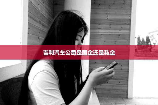 吉利汽车公司是国企还是私企