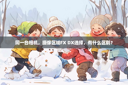 同一台相机，摄像区域FX DX选择，有什么区别？