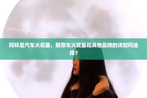 同样是汽车火花塞，那原车火花塞和其他品牌的该如何选择？