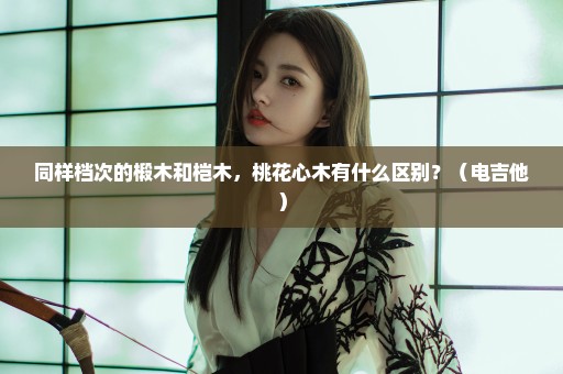 同样档次的椴木和桤木，桃花心木有什么区别？（电吉他）