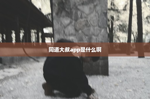 同道大叔app是什么啊