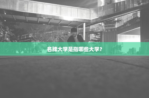 名牌大学是指哪些大学？