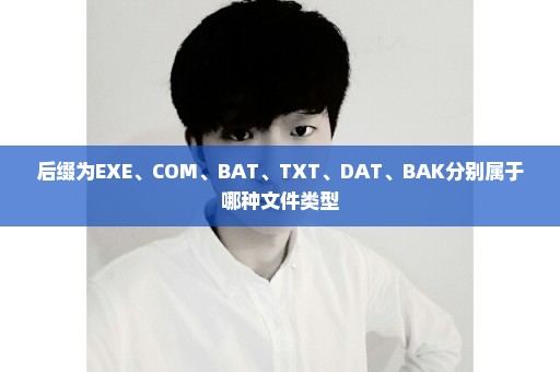 后缀为EXE、COM、BAT、TXT、DAT、BAK分别属于哪种文件类型