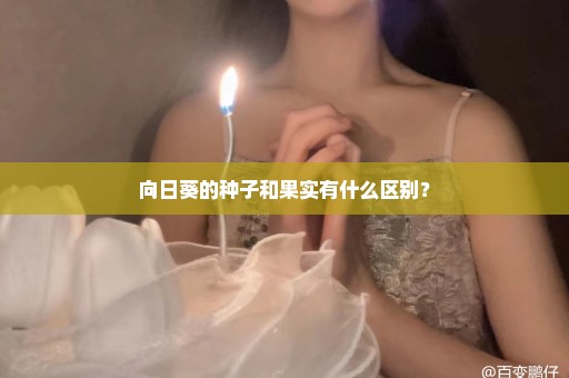 向日葵的种子和果实有什么区别？