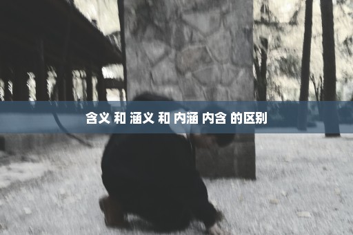 含义 和 涵义 和 内涵 内含 的区别