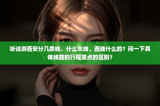 听说游西安分几条线，什么东线、西线什么的？问一下具体线路的行程景点的区别？