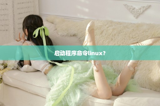 启动程序命令linux？