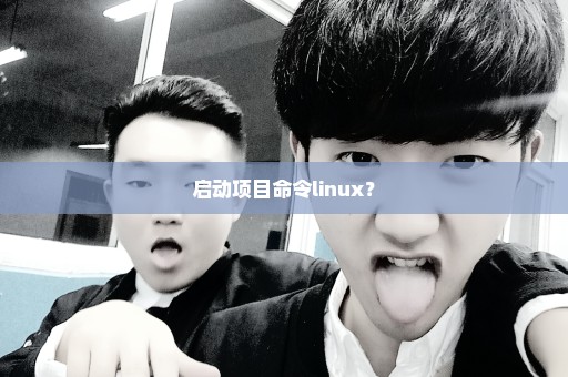 启动项目命令linux？