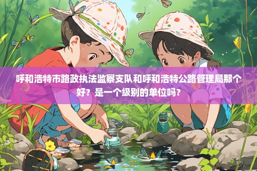 呼和浩特市路政执法监察支队和呼和浩特公路管理局那个好？是一个级别的单位吗？