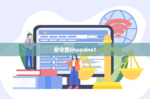 命令查linuxdns？