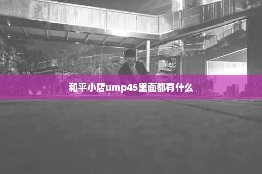 和平小店ump45里面都有什么