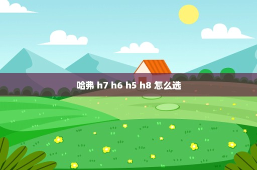 哈弗 h7 h6 h5 h8 怎么选