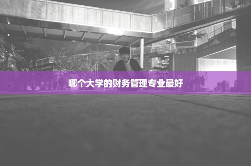 哪个大学的财务管理专业最好