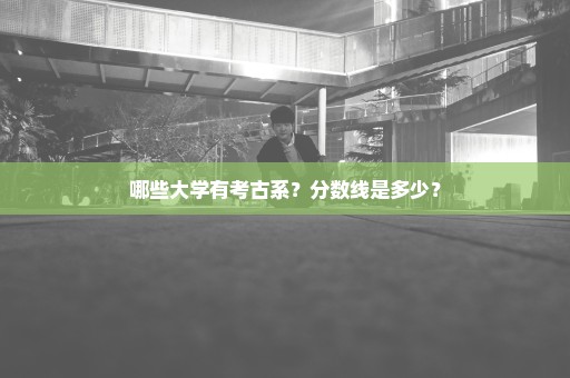 哪些大学有考古系？分数线是多少？