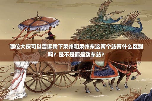 哪位大侠可以告诉我下泉州和泉州东这两个站有什么区别吗？是不是都是动车站？