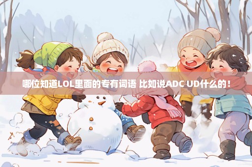 哪位知道LOL里面的专有词语 比如说ADC UD什么的！