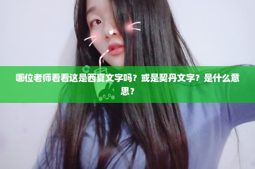 哪位老师看看这是西夏文字吗？或是契丹文字？是什么意思？