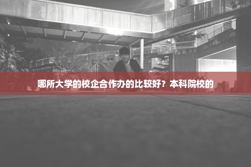 哪所大学的校企合作办的比较好？本科院校的