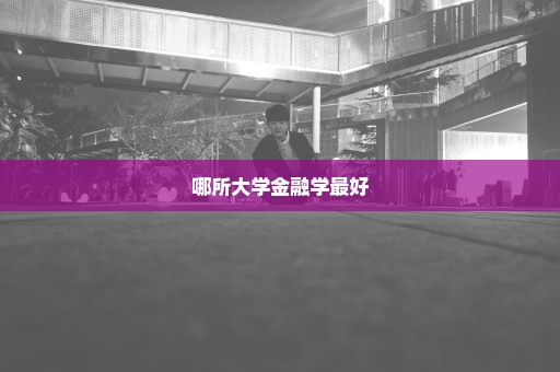 哪所大学金融学最好