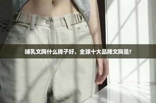 哺乳文胸什么牌子好，全球十大品牌文胸是?