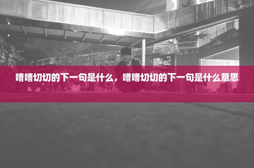 嘈嘈切切的下一句是什么，嘈嘈切切的下一句是什么意思 